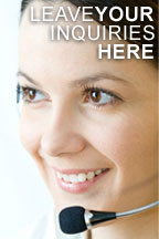 SEO Services